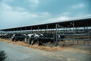 Компенсація будівництва ферм: як отримати до 50% відшкодування
